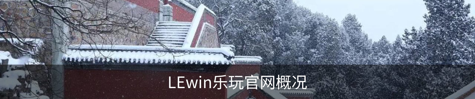LEwin乐玩官网概况